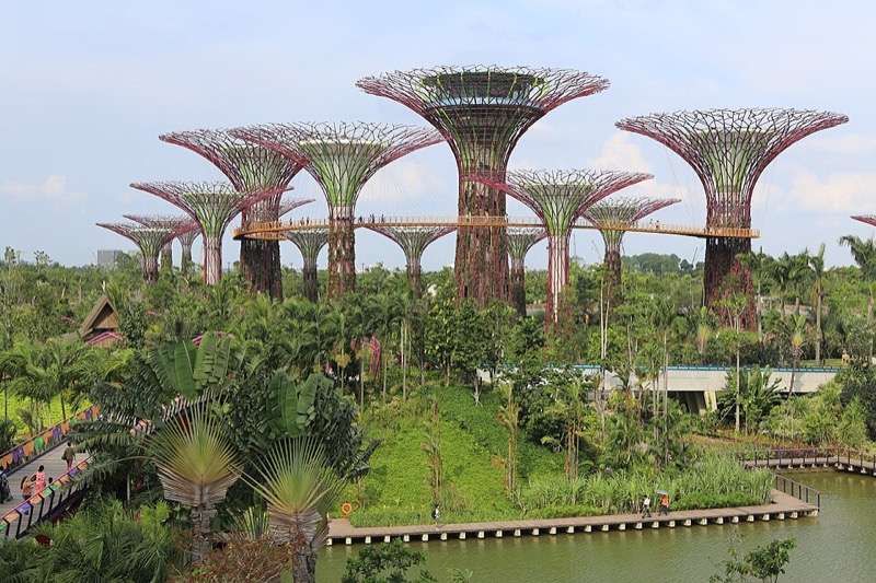 Supertree Grove, Gardens by the Bay